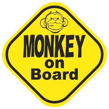 Monkey on board